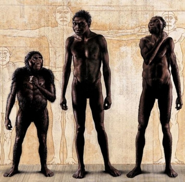 20 диких фактов об эволюции человека
