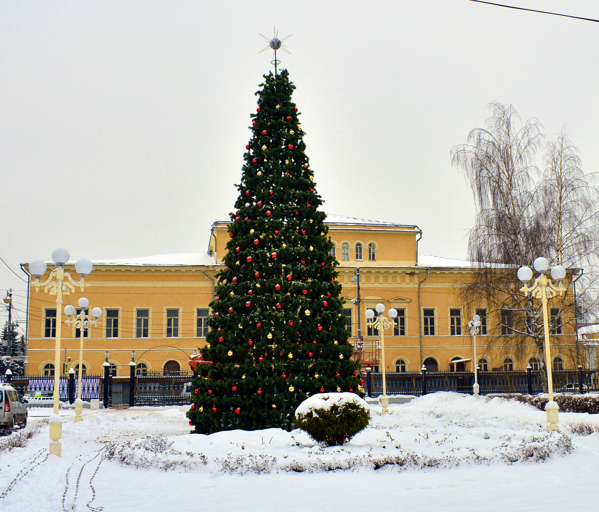 Ели в твери. Тверь городская елка. Новогодняя елка. Украшение на городскую елку. Елка в центре города.