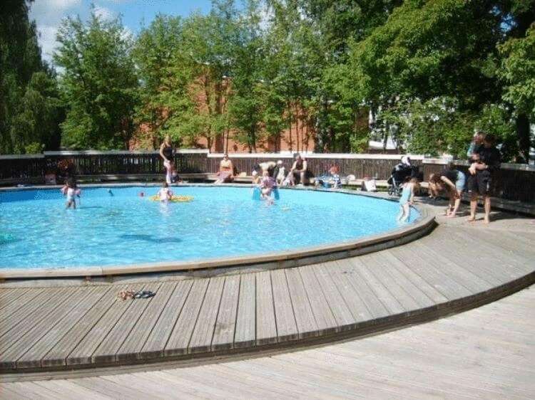 17 причин восхищаться Финляндией 17 причин восхищаться Финляндией животные