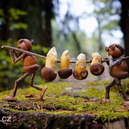 Забавные поделки из желудей 🍂🌿 