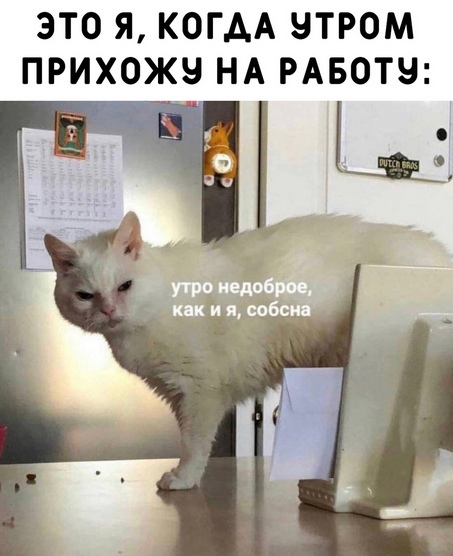 Юмор из интернета 693 Юмор из интернета 693 позитив,смех,улыбки,юмор