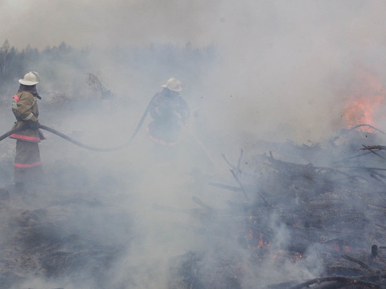 В России действуют 112 очагов лесных пожаров