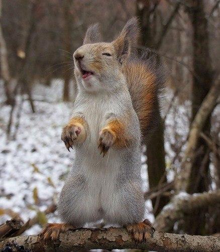 Давайте улыбаться вместе :) Давайте улыбаться вместе :)