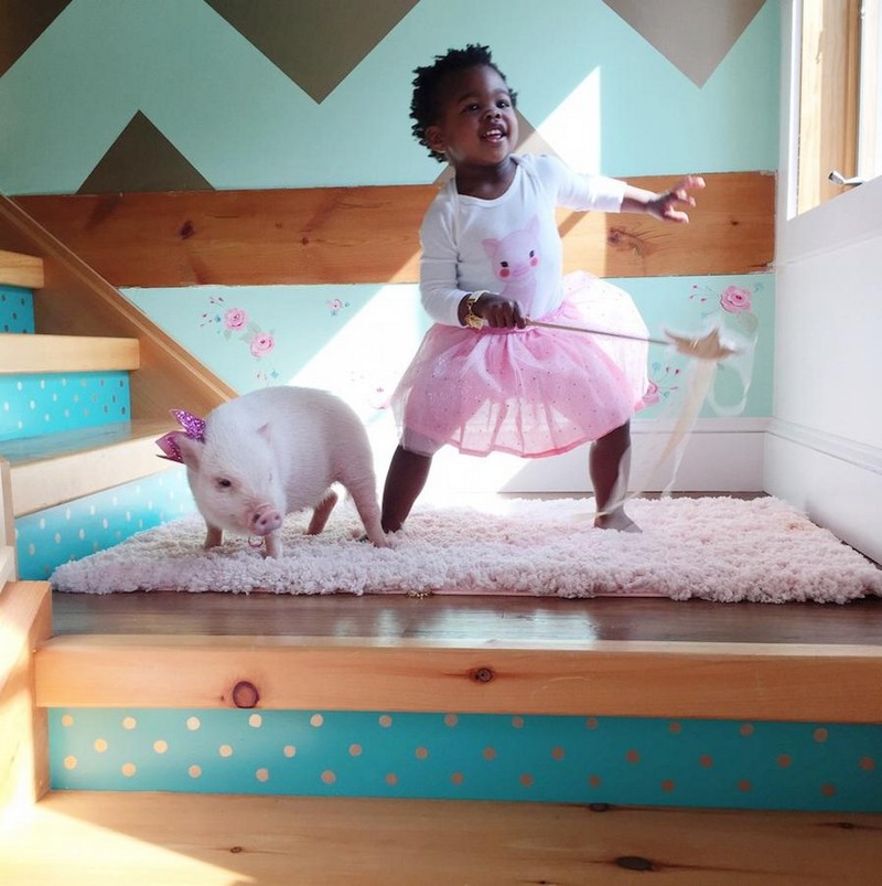 Немного прикольных картинок картинки, подборка картнок, прикол, юмор