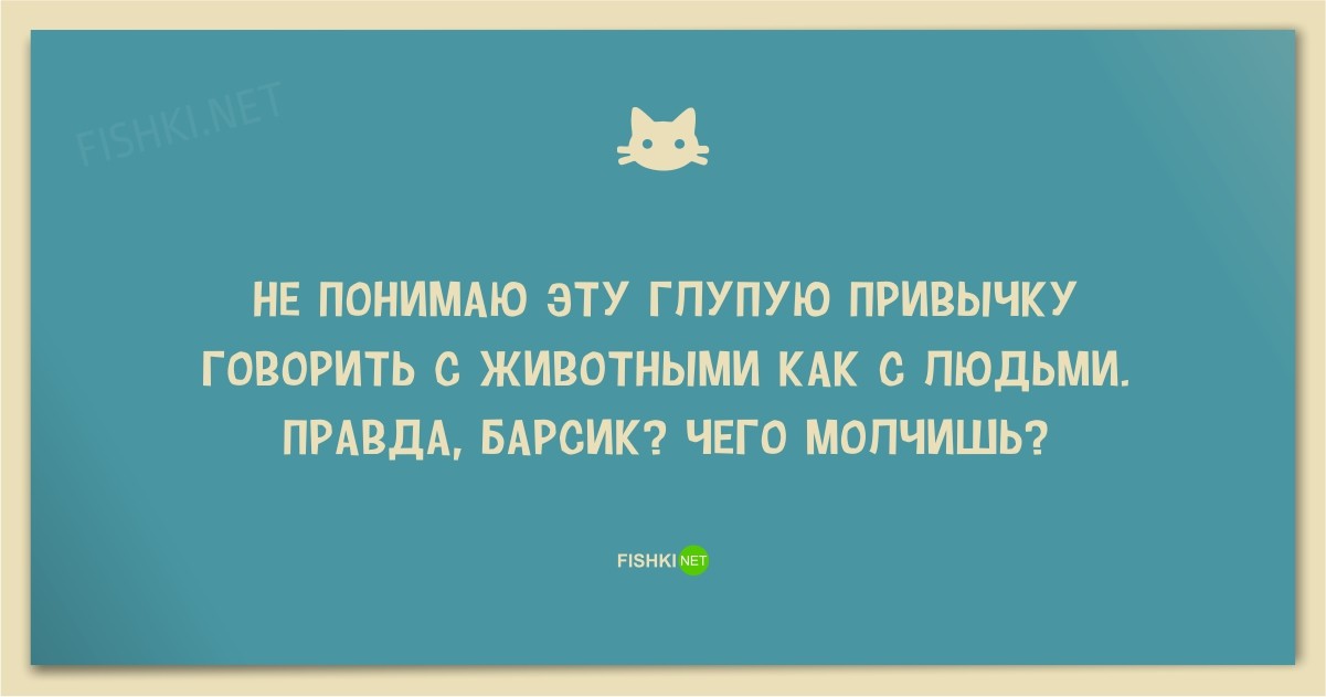 25 смешных анекдотов про кошек и котов