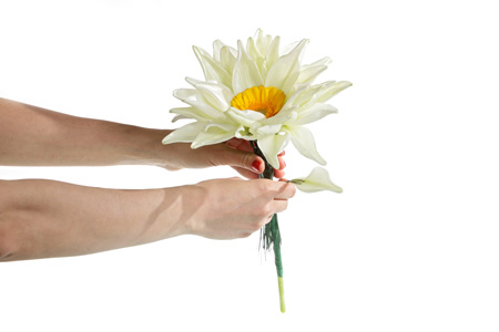 Букет ко Дню Петра и Февронии