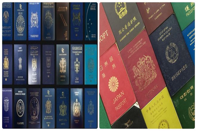 Семьдесят девять из 199 паспортов в мире синие, что делает его самым популярным цветом паспортов. Они ассоциируются в основном со странами "Нового Света" и Карибского бассейна.