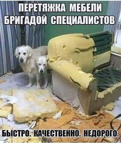 Свежие смешные до слез картинки Свежие смешные до слез картинки