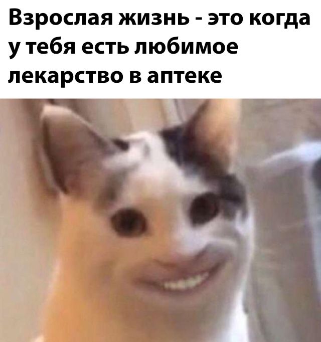 Подборка прикольных картинок Подборка прикольных картинок приколы,смешные картинки,юмор