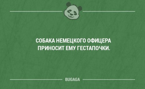 Прикольные фразы и забавные мысли. Часть 59 (20 шт)