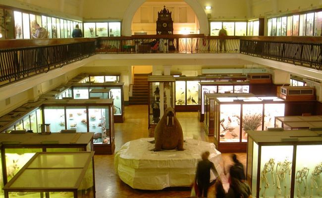 Лондонский музей вернет в Африку художественные ценности, украденные более века назад