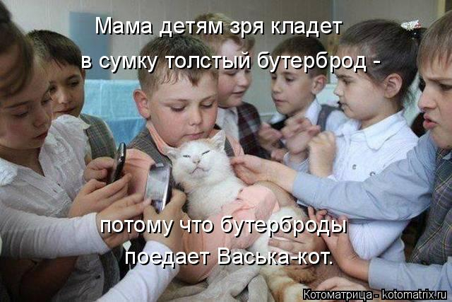 А я, оказывается, очень даже ничего! - сказала жизнь, посмотрев телевизор демотиваторы,животные,позитив,приколы,Смешные животные,юмор