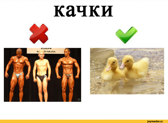 Речь качки. Мемы на украинском языке. Украинская мова мемы. Украинский язык Мем.