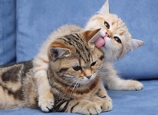 Написала письмо Деду Морозу. Отдала мужу. Жду веселые картинки