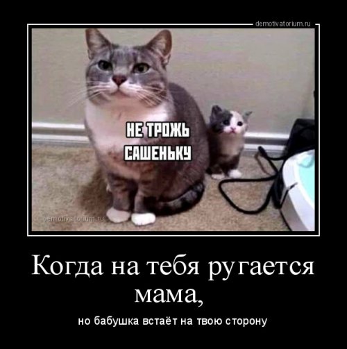 Свежих демотиваторов пост Свежих демотиваторов пост демотиваторы