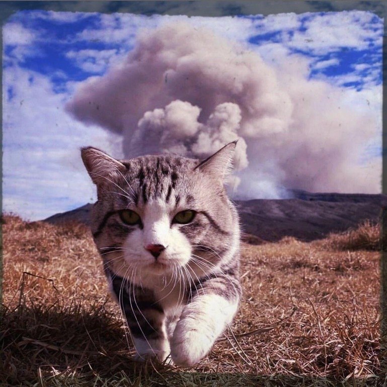 Подборка веселых, смешных и позитивных фотографий из нашей жизни Подборка веселых, смешных и позитивных фотографий из нашей жизни