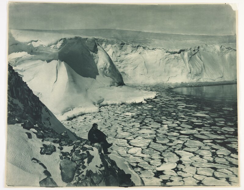 Выжить в ледяном аду: одиссея Дугласа Моусона – первого покорителя Антарктиды Антарктида,Дуглас Моусон,исследователь,полярник,экспедиция