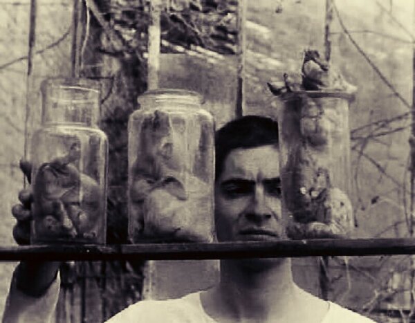 5 фильмов, которые сняли на грани фола 5 фильмов, которые сняли на грани фола