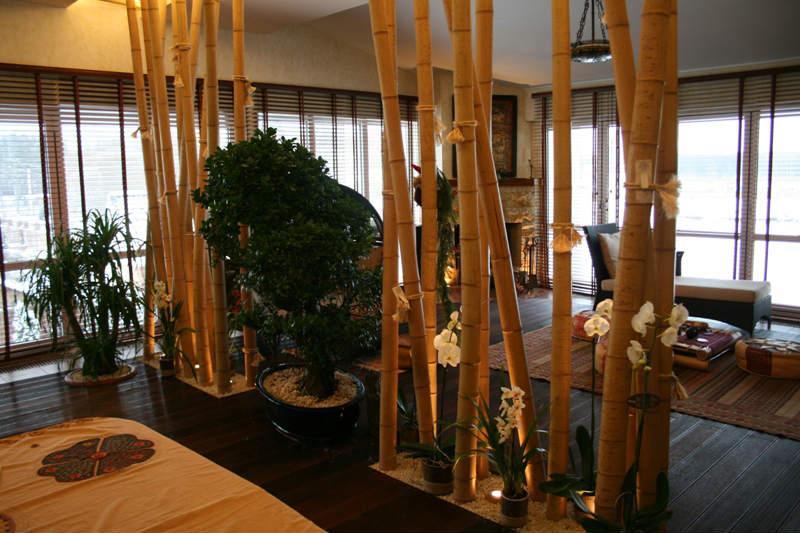 Бамбук в доме