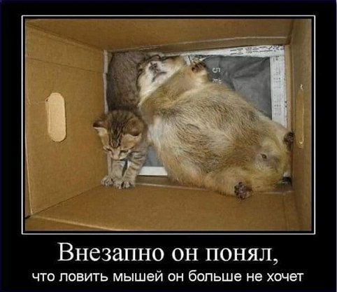 Доза позитива для хорошего настроения Доза позитива для хорошего настроения