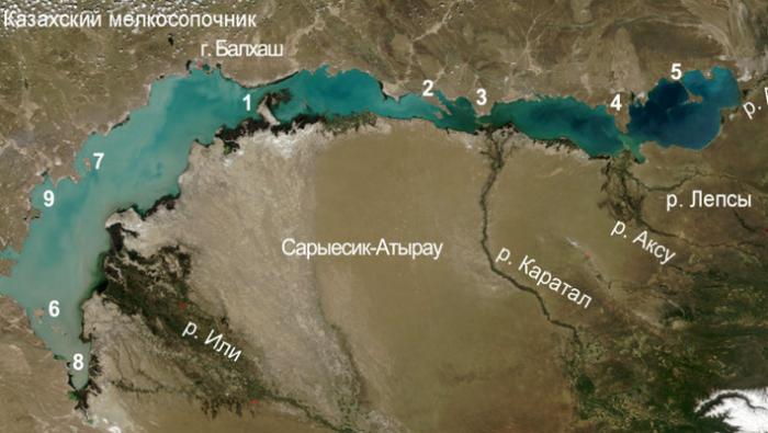 Какие тайны скрывает в своих водах озеро Балхаш и Почему оно единственное в своем роде Балхаш, озера, озеро, части, просто, озере, пресная, соленая, около, видов, находится, расположено, много, только, можно, может, разделяет, водоеме, достигает, водоема