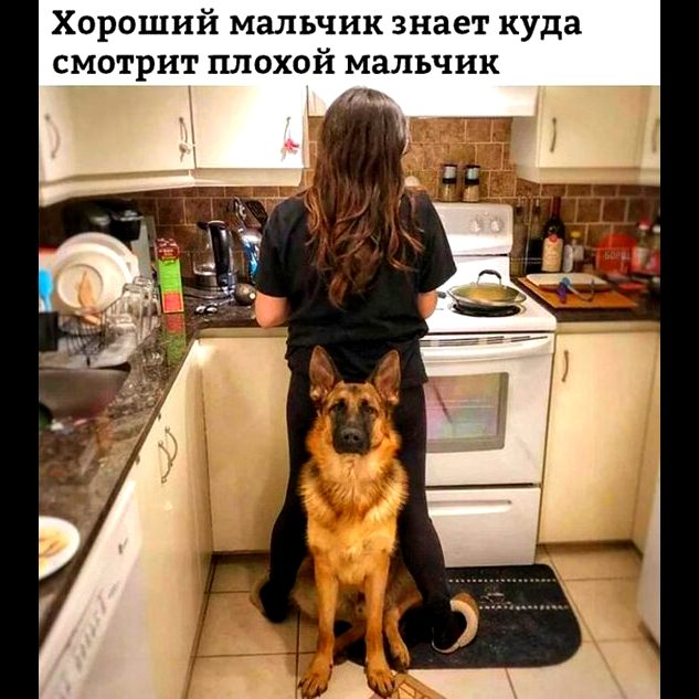 25 лучших хохотушек за последнюю неделю