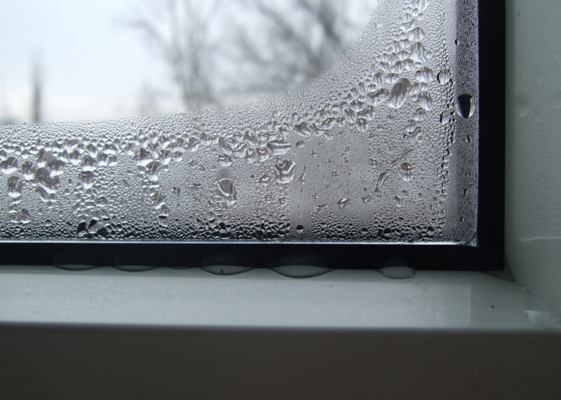 Откройте окно
Звучит, как шутка — но на самом деле, открытое окно может спасти вас от простуды. Проведя весь день в душном помещении, любой человек имеет повышенный риск подхватить инфекцию. Свежий воздух убивает большинство вирусных частиц.