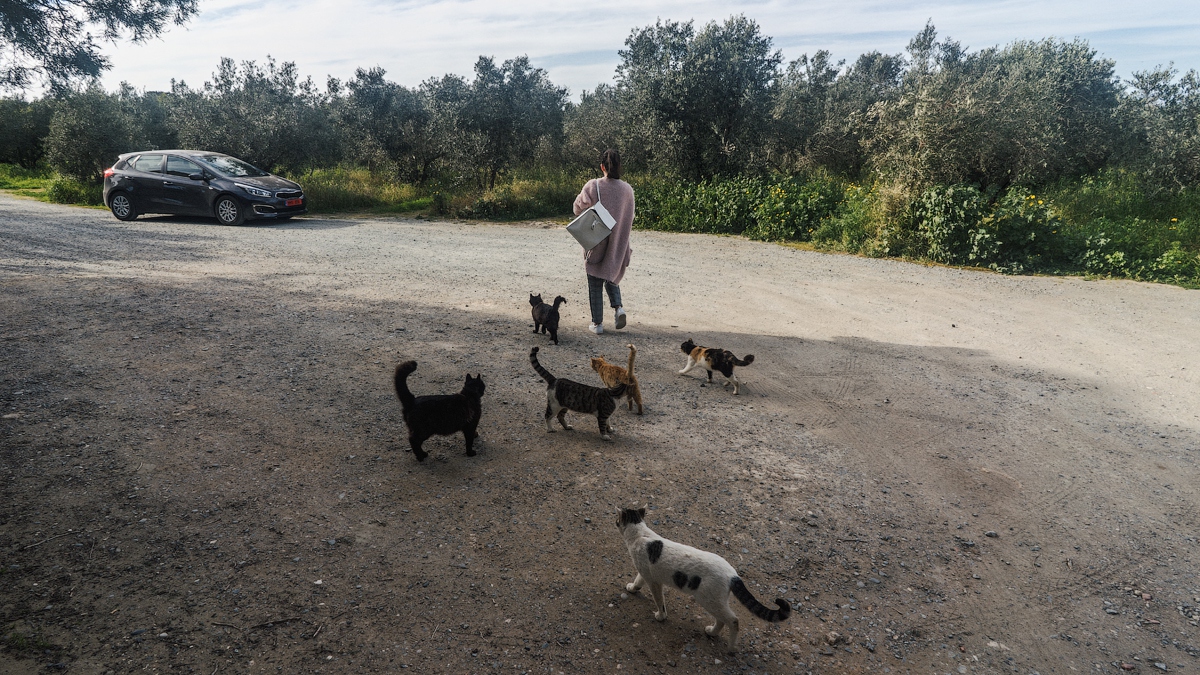 Пафосное фотопутешествие Пафосное фотопутешествие