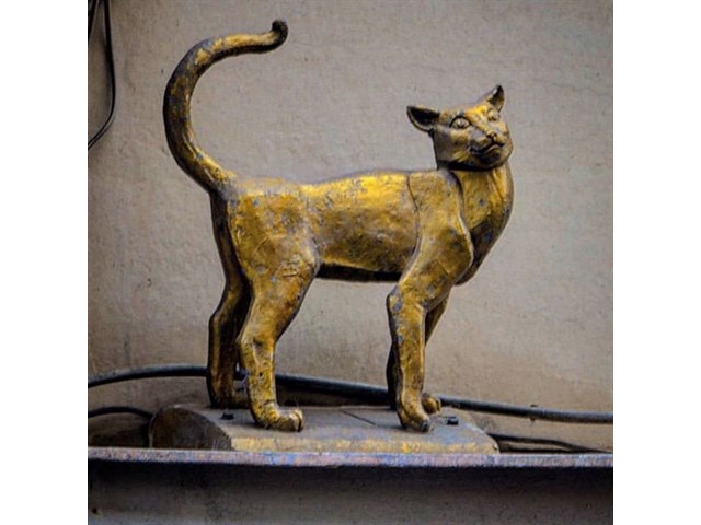 «Усатый спецназ»: как коты защищали блокадный Ленинград «Усатый спецназ»: как коты защищали блокадный Ленинград история