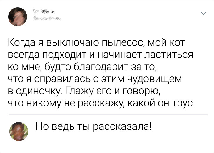 15 остроумных комментаторов из сети, которые никогда не упустят повода вставить свое меткое словцо