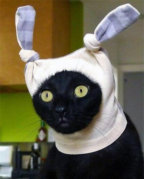 Давайте улыбаться вместе :) Давайте улыбаться вместе :)