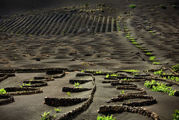 Попробуйте найти голую девушку на фотографии Путешествия,фото