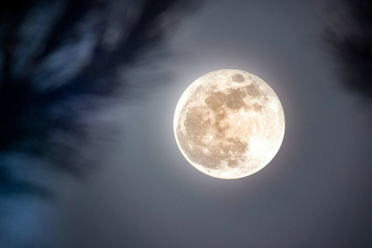 Луна Древнее Кладбище Славян ,и почему никто не говорит что волки,коты,и вороны просили у луны людские души
