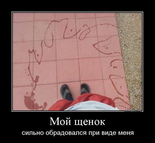 Семья - это разговаривать с человеком, который сидит в туалете анекдоты