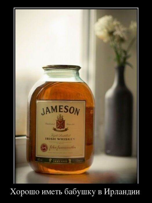 Традиционная коллекция прикольных демотиваторов на любой вкус! Традиционная коллекция прикольных демотиваторов на любой вкус!