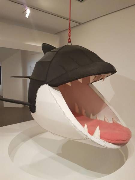 Подборка картинок. Дневной выпуск (54 фото)