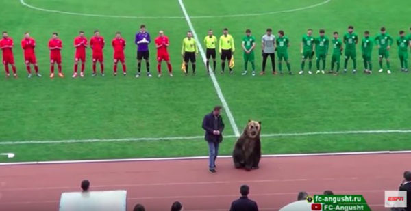Медведь открыл матч чемпионата России по футболу и это вызвало негодование зоозащитников