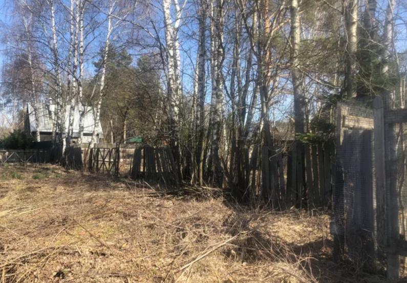 "80% россиян - лентяи, бездельники и нытики" общество,россияне