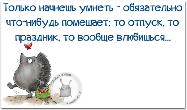 Веселые картинки с фразочками Веселые картинки с фразочками