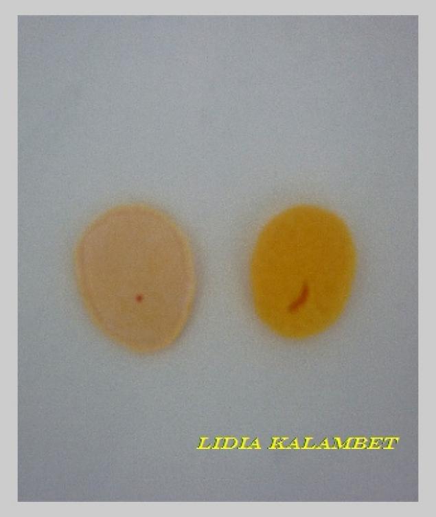 Какие прекрасные куклы получаются из бигуди Какие прекрасные куклы получаются из бигуди из бигуди,рукоделие,своими руками,сделай сам