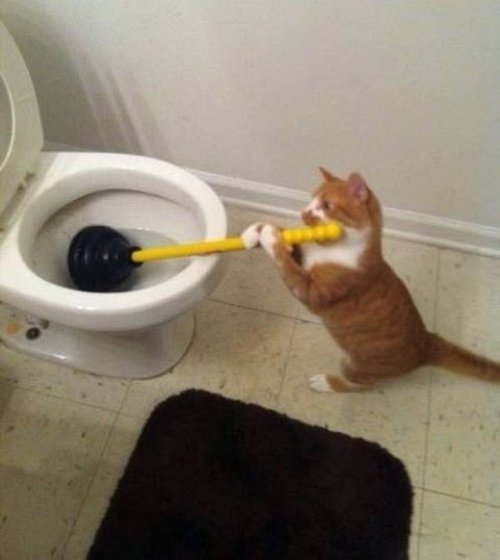 22 очаровательных животных, которые вызовут улыбку и подарят позитив 22 очаровательных животных, которые вызовут улыбку и подарят позитив