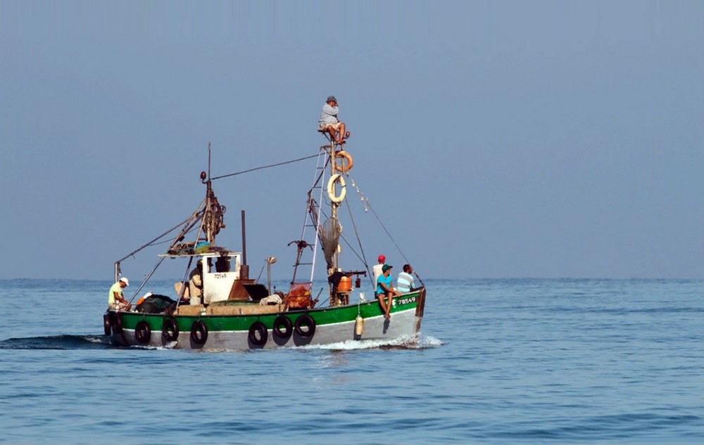 Подборка интересных фотографий Подборка интересных фотографий