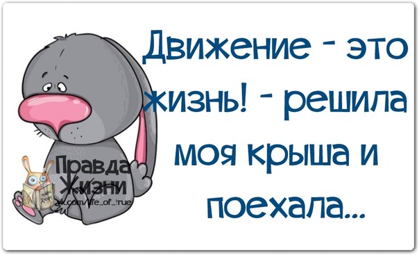 Смешные картинки поехала крыша