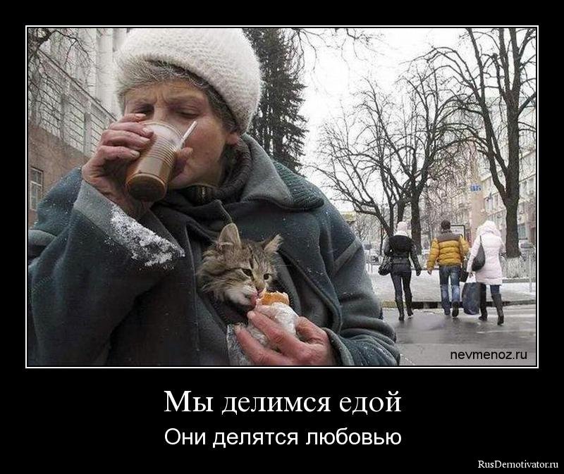 Зачетные и смешные демотиваторы из нашей жизни со смыслом веселые демотиваторы ржака