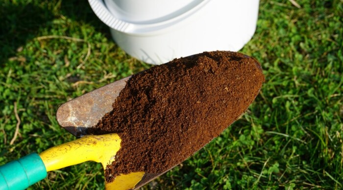 Как использовать кофейную гущу в садовничестве без вреда для растений и почвы может, также, почвы, растений, кофейной, использовать, качестве, кофейную, почву, Кофейная, почве, количество, которые, поскольку, кофейная, поможет, можно, вокруг, могут, червей