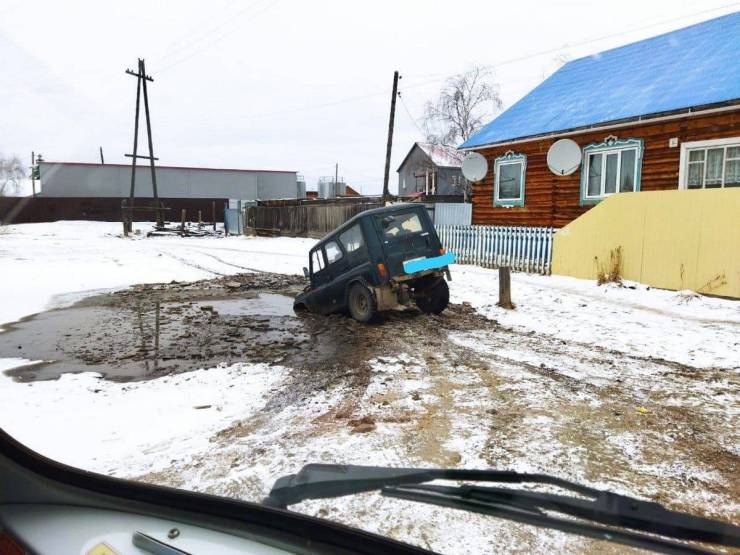 Подборка прикольных картинок (30 фото)