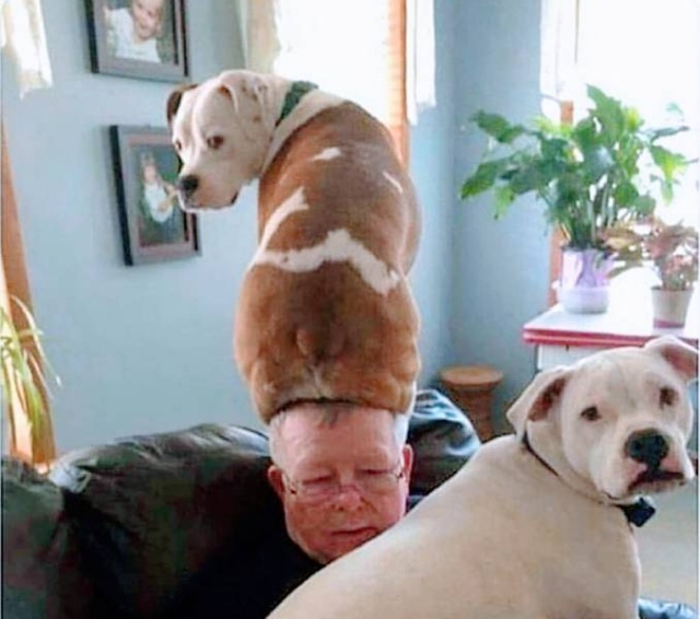 Подборка прикольных картинок Подборка прикольных картинок смешные картинки