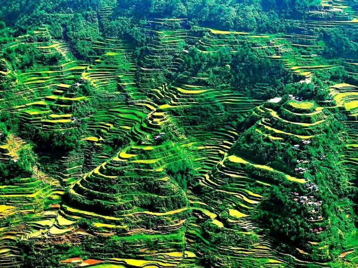  travelophilippines.com.