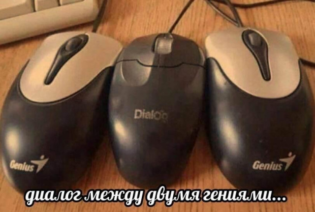 Весёлые картинки для всех: «Диалог между двумя гениями» 