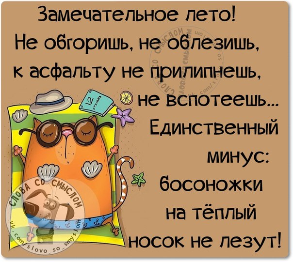 Веселые картинки с фразочками Веселые картинки с фразочками